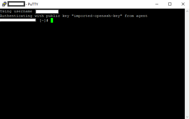 elitecs.ro-ssh